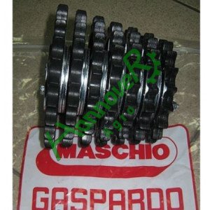 Зірочки набірні, в зборі, великий комплект G22270163, Gaspardo